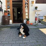 Pensjonat Untere Rauner Muehle
