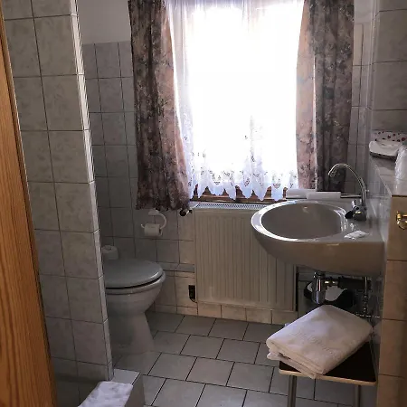 Untere Rauner Muehle 2* Bad Brambach