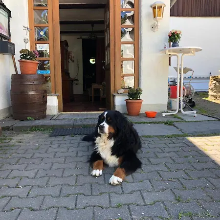 Guest house Untere Rauner Muehle