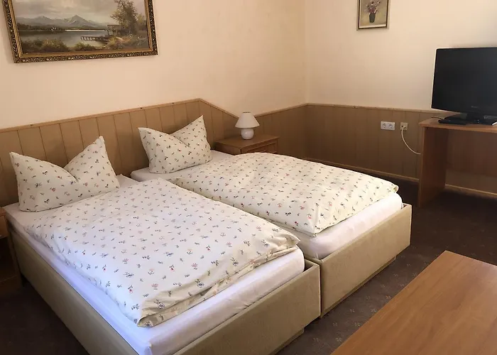 Gasthof Untere Rauner Muehle Bad Brambach