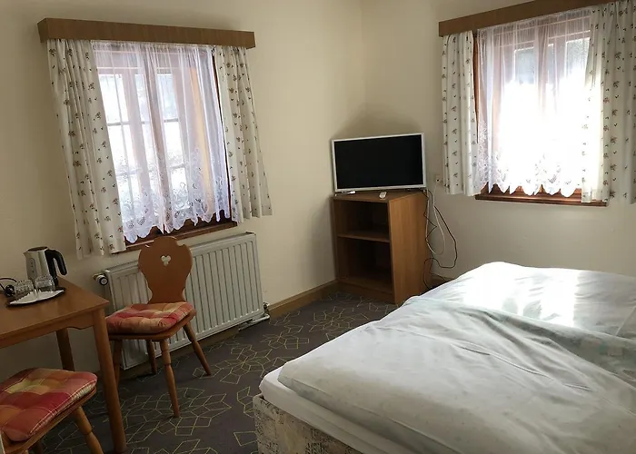 Untere Rauner Muehle Bad Brambach