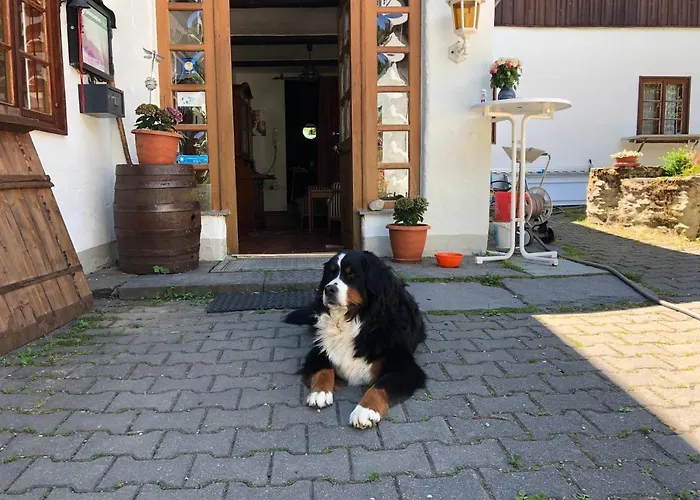 Gasthof Untere Rauner Muehle